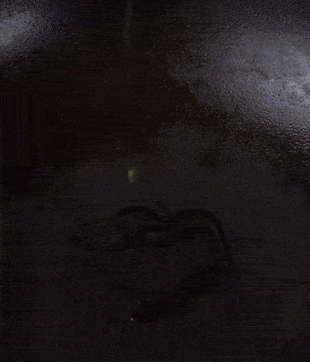 冷鍋熱油，下蒜片爆香，下香腸、玉米筍、蓮藕、西芹爆炒，期間加點(diǎn)水，翻炒1分鐘后加新鮮百合片，翻炒30秒。