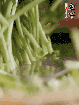 新鮮豌豆苗割下洗凈。